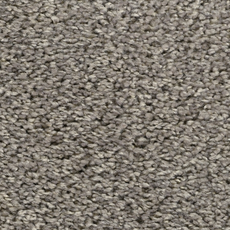 Frisé - Manduro - 002